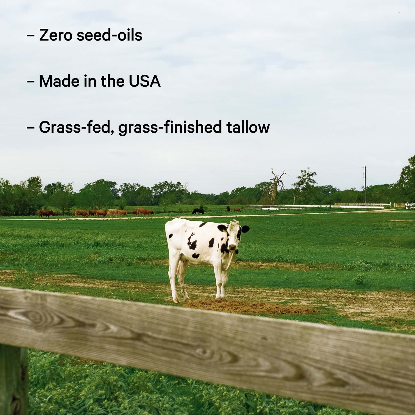 Zero seed oils, USA, grass fed and finished tallow