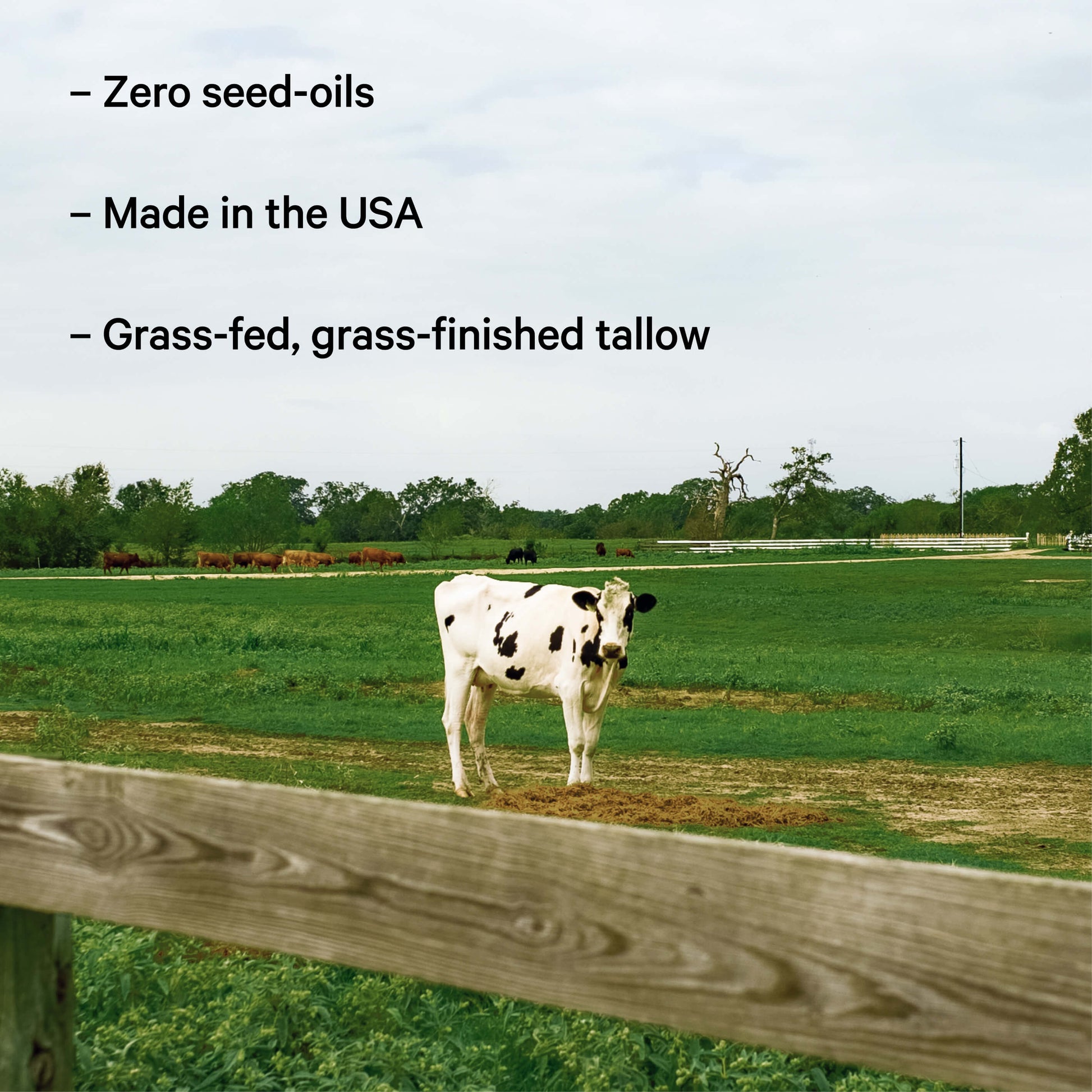 Zero seed oils, USA, grass fed and finished tallow